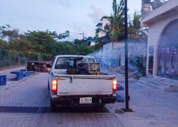 Playa del Carmen toma medidas de precaución contra el dengue