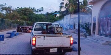 Playa del Carmen toma medidas de precaución contra el dengue
