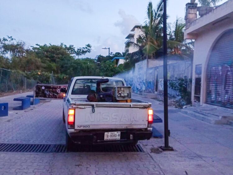 Playa del Carmen toma medidas de precaución contra el dengue
