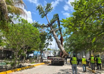 Gobierno y sector privado juntos en beneficio del medio ambiente en Playa del Carmen