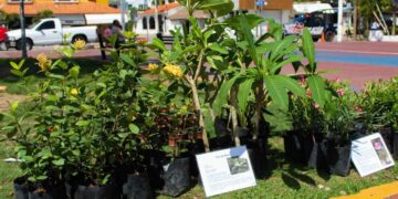 Kilo Verde y Croquetón llegará al Centro y Villas del Sol en Playa del Carmen