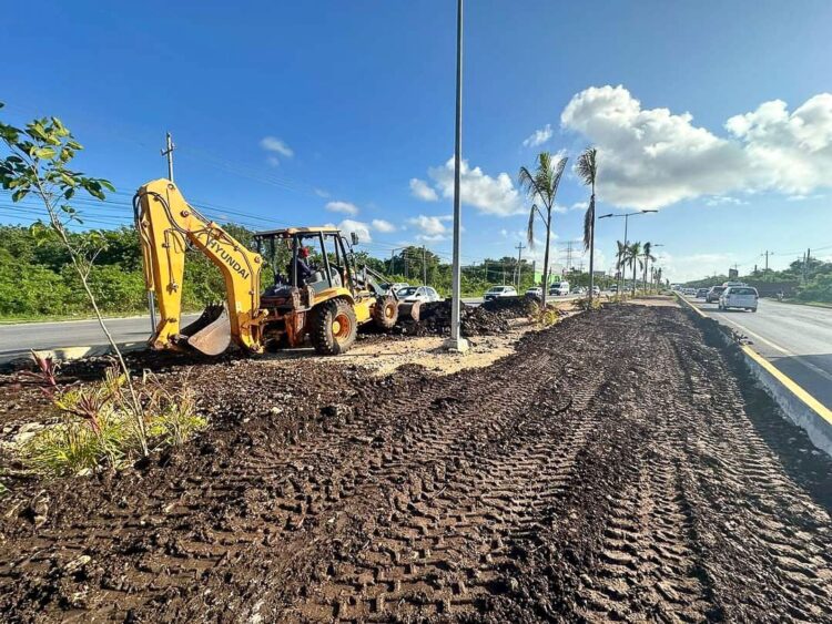 Continúan renovando el camellón de la carretera federal en Playa del Carmen