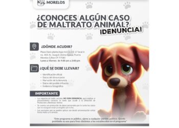 Refuerza gobierno de Puerto Morelos campaña de concientización sobre tenencia responsable de mascotas