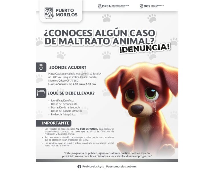 Refuerza gobierno de Puerto Morelos campaña de concientización sobre tenencia responsable de mascotas