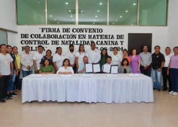 Firman convenio de colaboración para esterilización felina y canina en Puerto Morelos