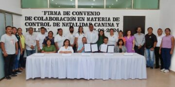 Firman convenio de colaboración para esterilización felina y canina en Puerto Morelos