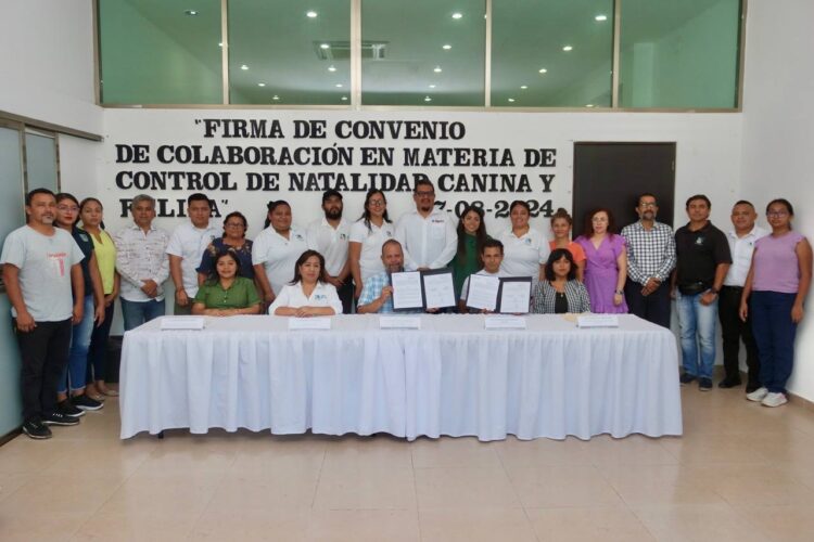 Firman convenio de colaboración para esterilización felina y canina en Puerto Morelos