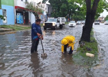 Servicios Públicos de Playa del Carmen, con trabajos preventivos permanentes por lluvias