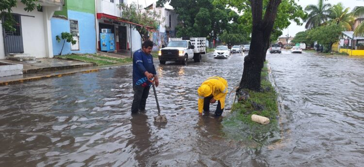 Servicios Públicos de Playa del Carmen, con trabajos preventivos permanentes por lluvias