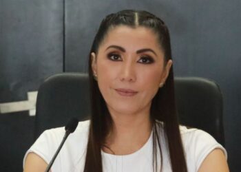 Urgente una Ley de Imagen Institucional Sustentable: Candy Ayuso