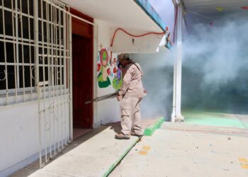 Fumigan escuelas en Puerto Morelos previo al inicio de clases