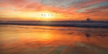 Irma Villalobos te vamos a extrañar