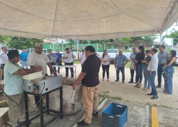 INE Quintana Roo destruye materiales electorales