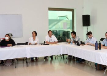 Recibirá Puerto Morelos a expertos en sustentabilidad y energía