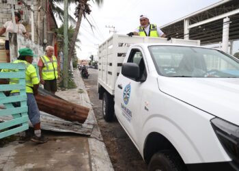 Realizan jornada masiva de limpieza y descacharrización en Isla Mujeres