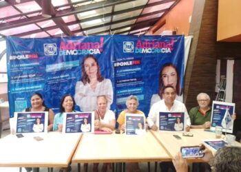 Panistas respaldan a Adriana Dávila para presidir el PAN