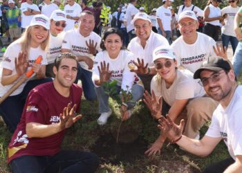 Realizan jornada de arborización y atención animal en Puerto Morelos
