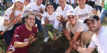 Realizan jornada de arborización y atención animal en Puerto Morelos