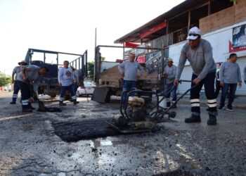 Mega jornada de Servicios Públicos atiende Puerto Aventuras