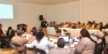 Planean en Puerto Morelos estrategia del Programa de Vectores contra el paludismo en 2025