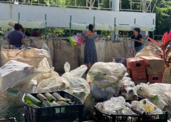 Impulsan participación ciudadana, en jornadas del Reciclatón en Puerto Morelos