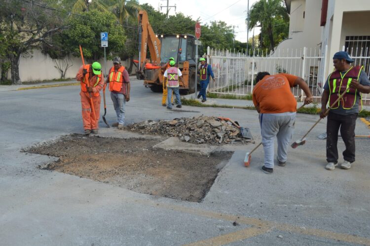 Avanza bacheo con fuerza todos los días en Playa del Carmen y Puerto Aventuras