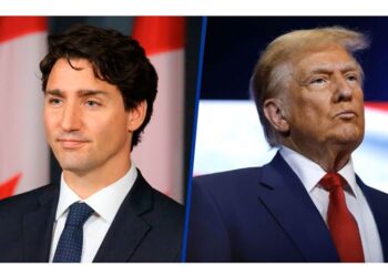 Justin Trudeau, una ponzoña boba