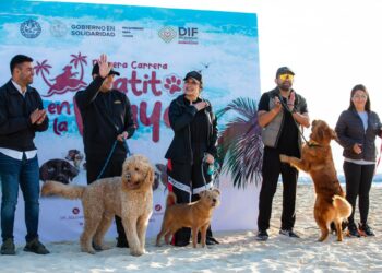 Realiza gobierno de Playa del Carmen la “Primera Carrera Patitas en la Playa”