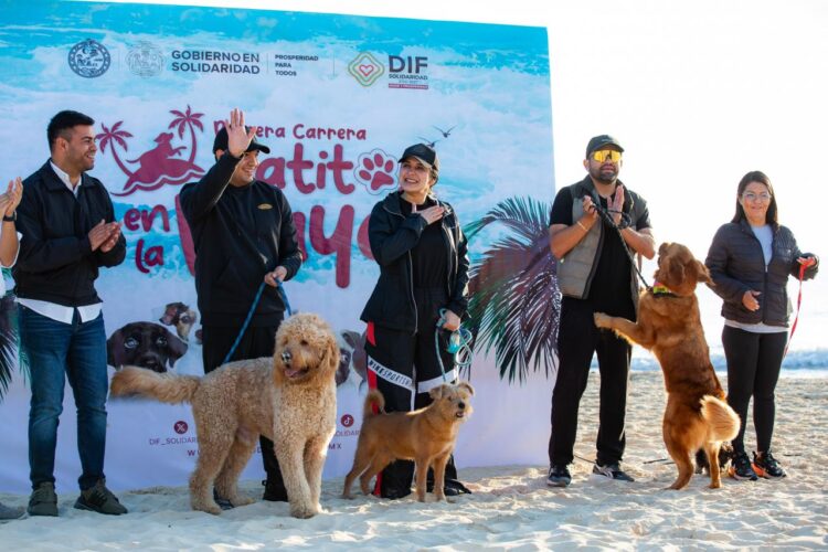 Realiza gobierno de Playa del Carmen la “Primera Carrera Patitas en la Playa”