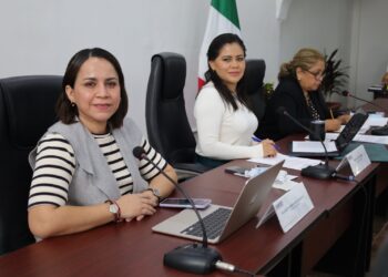 Coadyuvará IEQROO en elecciones de alcaldías y delegaciones para OPB y BJ