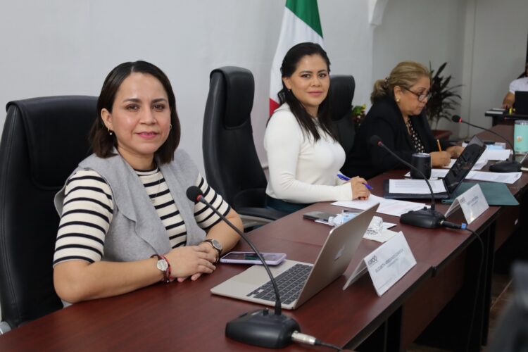 Coadyuvará IEQROO en elecciones de alcaldías y delegaciones para OPB y BJ