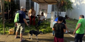 Fomentan Dirección de Bienestar Animal salud pública en Puerto Morelos