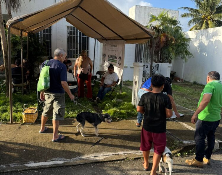Fomentan Dirección de Bienestar Animal salud pública en Puerto Morelos