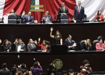 Diputados de Morena respaldan reforma que prohíbe transgénicos