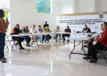 Refuerza gobierno de Playa del Carmen protección de niñas, niños y adolescentes migrantes