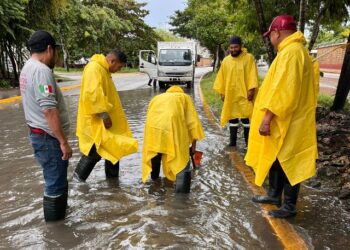 Reacción inmediata del gobierno de Playa del Carmen ante encharcamientos pluviales
