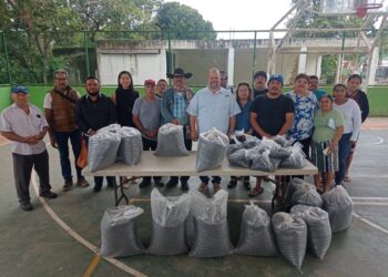 Inician entrega de media tonelada de semilla de frijol Jamapa para productores en Leona Vicario