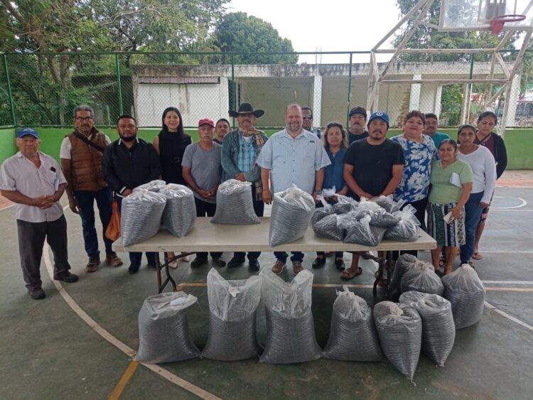 Inician entrega de media tonelada de semilla de frijol Jamapa para productores en Leona Vicario