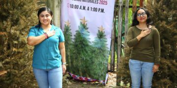 Continúa gobierno de Isla Mujeres con el Programa de Recepción y Acopio de Árboles Navideños