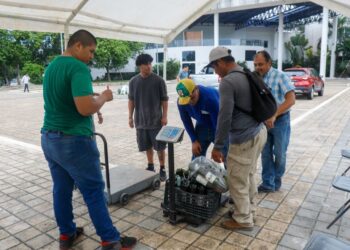 Gobierno de Playa del Carmen reafirma su compromiso con el medio ambiente