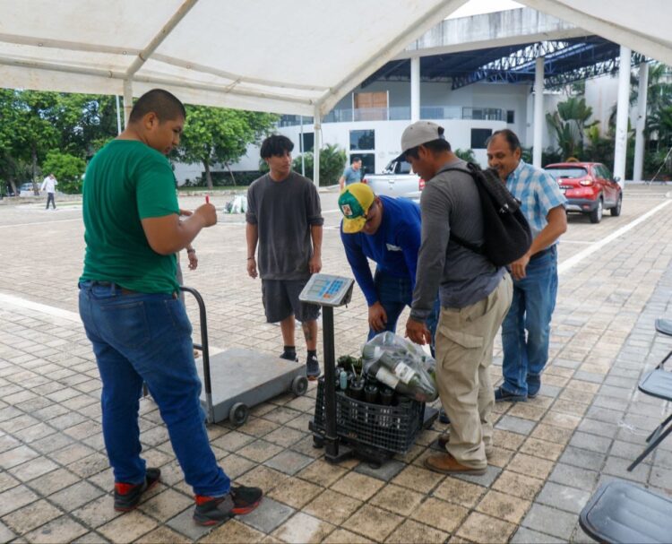 Gobierno de Playa del Carmen reafirma su compromiso con el medio ambiente