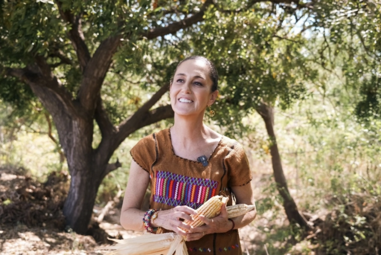 Claudia Sheinbaum busca con reforma blindar razas del maíz