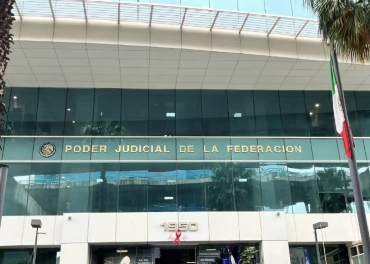 Poder Judicial debe reintegrar a la Tesorería todos los fideicomisos: Claudia Sheinbaum