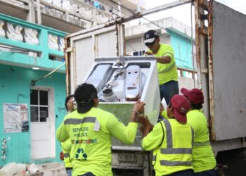 Fortalecen el Programa Permanente de Descacharrización en Isla Mujeres