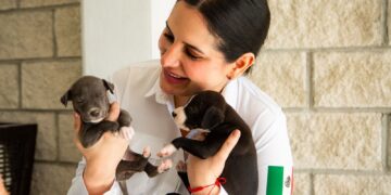 10 MDP convertirán el CENCAAZ en una clínica veterinaria de primera en Playa del Carmen