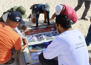 Refuerzan cuidado del Parque Marino Arrecife de Puerto Morelos