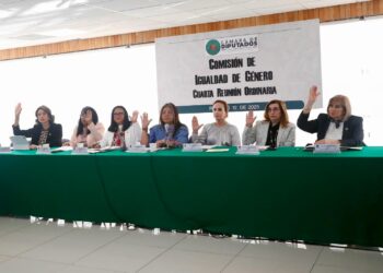 Respaldan diputados exhorto de Mildred Ávila para unificar leyes estatales contra violencia vicaria