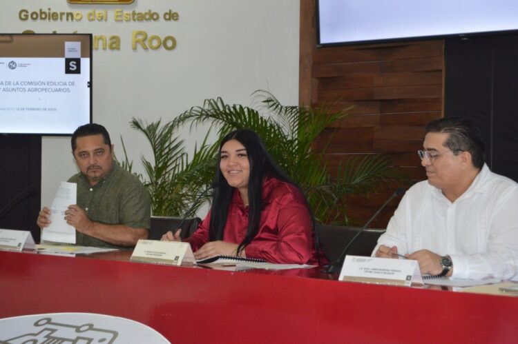 Mayor impulso al desarrollo de Mipymes y emprendedores en Playa del Carmen