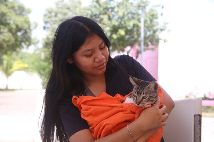 Promueve Gobierno Municipal campaña de esterilización y bienestar animal en Zona Continental
