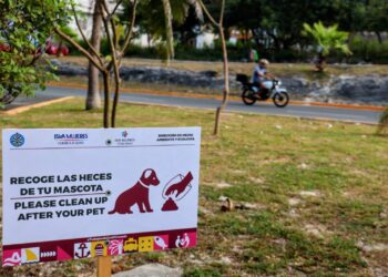 Gobierno de Isla Mujeres impulsa campaña de concientización sobre tenencia responsable de mascotas